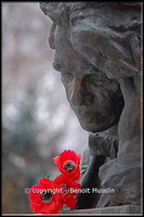 110- Des fleurs au cimetière Novodevitchi de Moscou.
