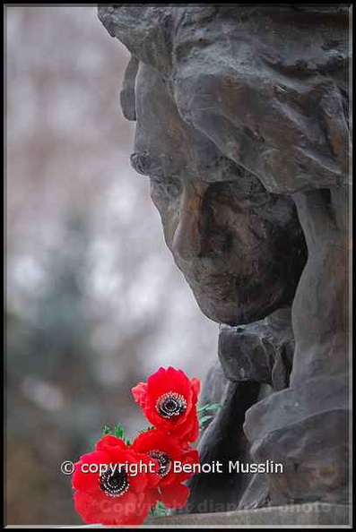 10- Des fleurs au cimetière Novodevitchi de Moscou..jpg