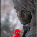 110- Des fleurs au cimetière Novodevitchi de Moscou.
